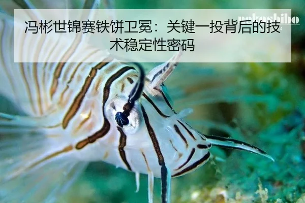 冯彬世锦赛铁饼卫冕：关键一投背后的技术稳定性密码