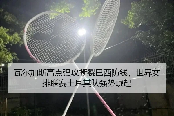 wa-er-jia-si-gao-dian-qiang-gong-si-lie-ba-xi-fang-xian-shi-jie-nv-pai-lian-sai-tu-er-qi-dui-qiang-shi-jue-qi-3-185.jpg