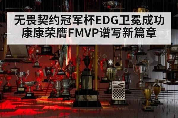 无畏契约冠军杯EDG卫冕成功 康康荣膺FMVP谱写新篇章
