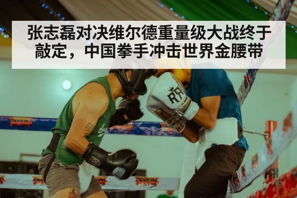 张志磊对决维尔德重量级大战终于敲定,中国拳手冲击世界金腰带