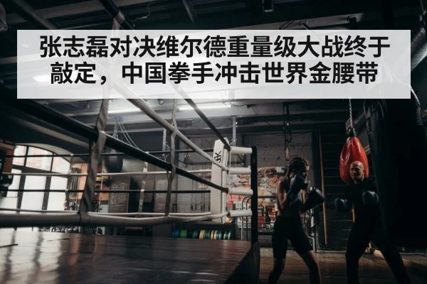 boxer training