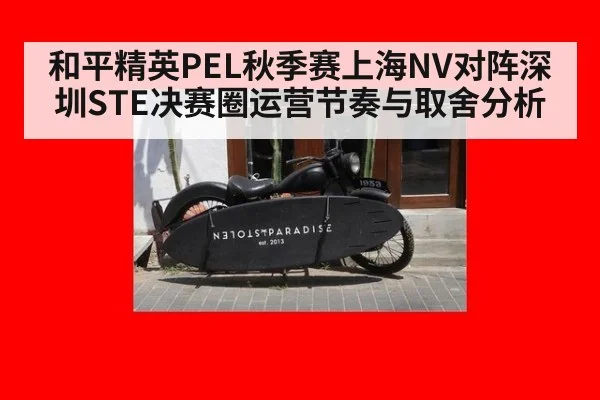 和平精英PEL秋季赛上海NV对阵深圳STE决赛圈运营节奏与取舍分析